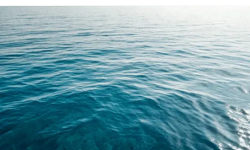 1片大海