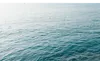 1片大海