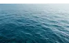 1片大海