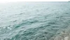1片大海