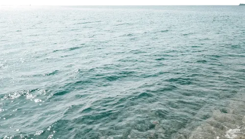 1片大海