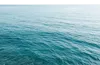 1片大海