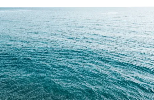 1片大海