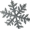 1片雪花