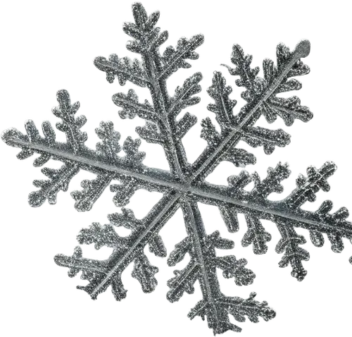 1片雪花