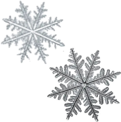 2片雪花