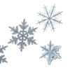 1些雪花