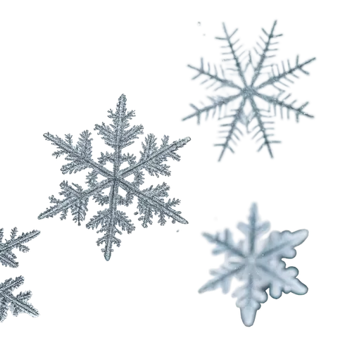 1些雪花