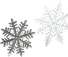 2片雪花