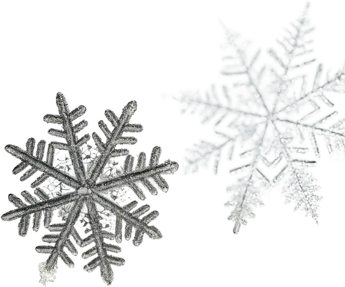 2片雪花