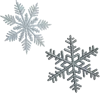 2片雪花