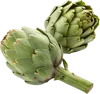 2个菊芋
