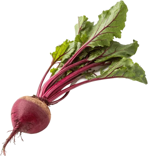 1个甜菜