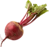 1个甜菜