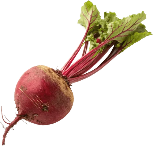 1个甜菜