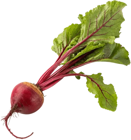 1个甜菜