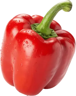 菜椒