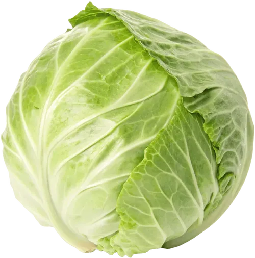 1颗卷心菜