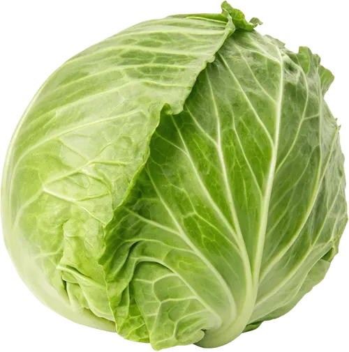 1颗卷心菜