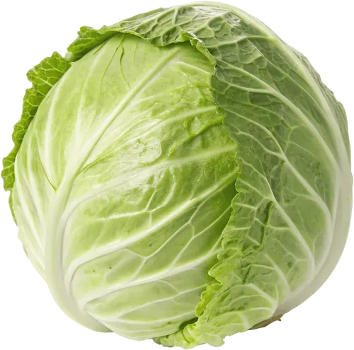 1颗卷心菜