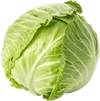 1颗卷心菜