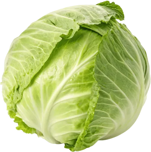 1颗卷心菜