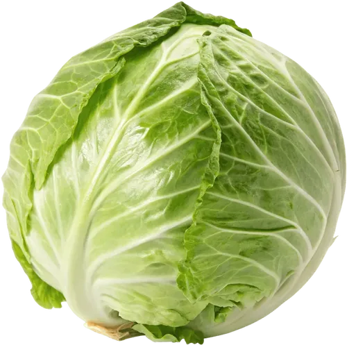 1颗卷心菜