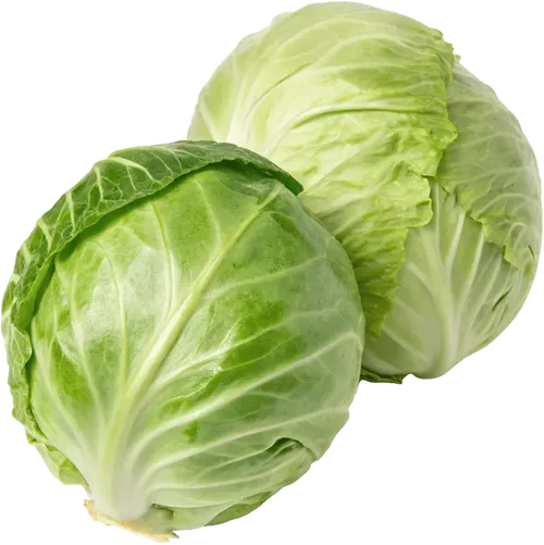 2颗卷心菜