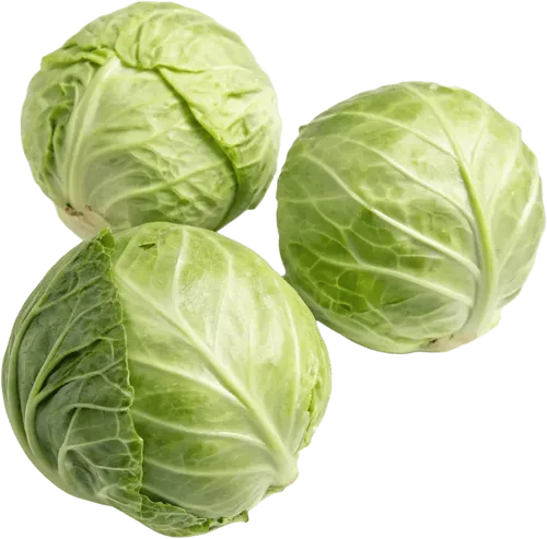 3颗卷心菜