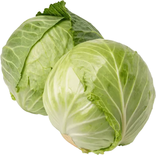 2颗卷心菜