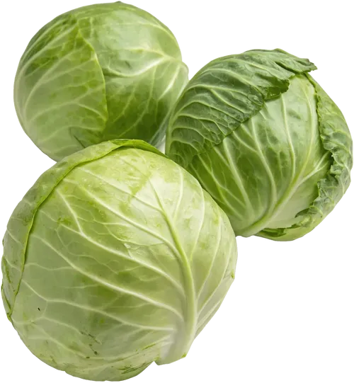 3颗卷心菜
