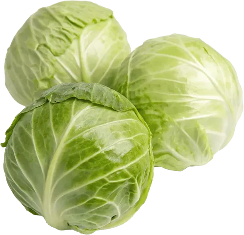 3颗卷心菜