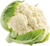 1颗菜花