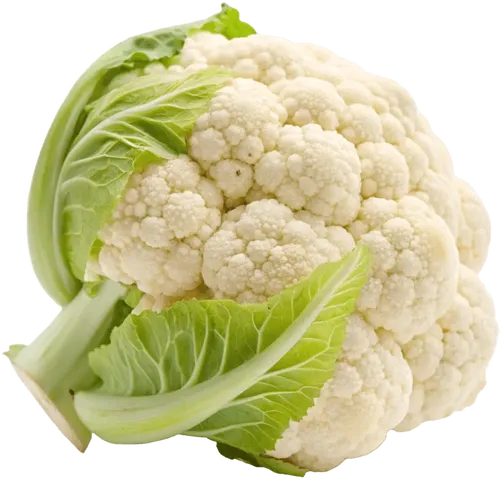 1颗菜花