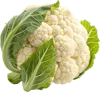1颗菜花