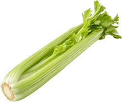 芹菜