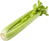 1根芹菜
