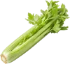 1根芹菜