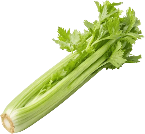 1根芹菜