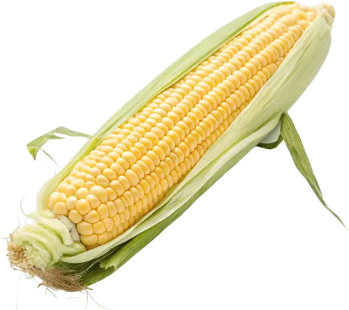 1个玉米