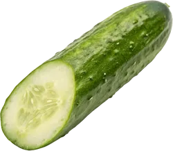 黄瓜