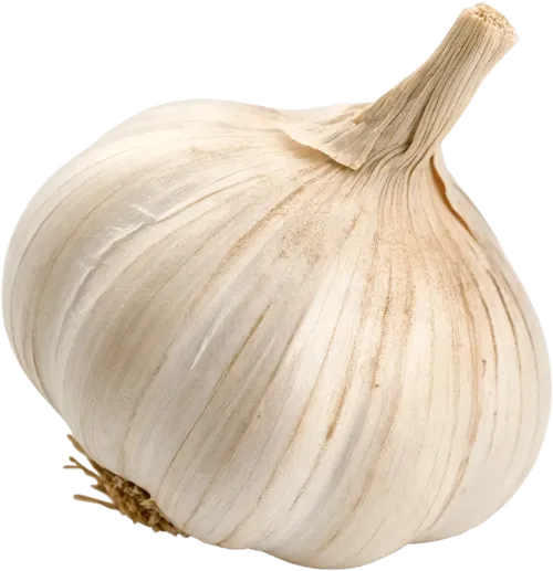 1个大蒜