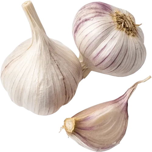 2个大蒜和蒜瓣