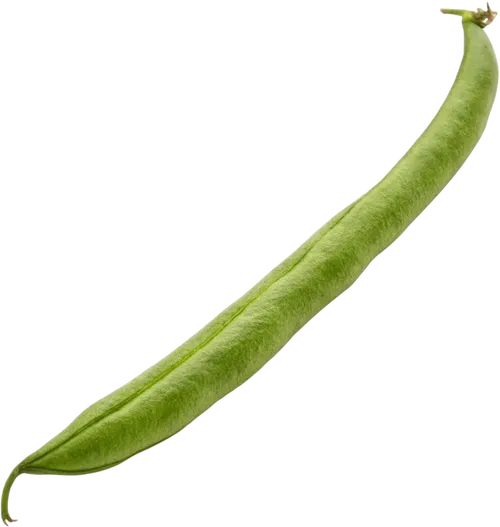 1根四季豆