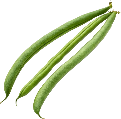 3根四季豆