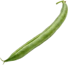 1根四季豆