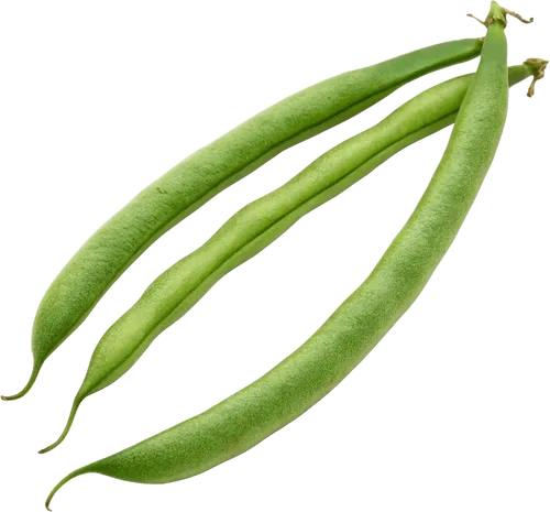3根四季豆