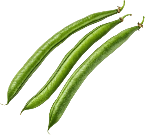 3根四季豆