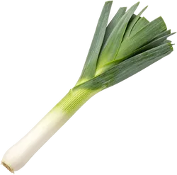 大葱