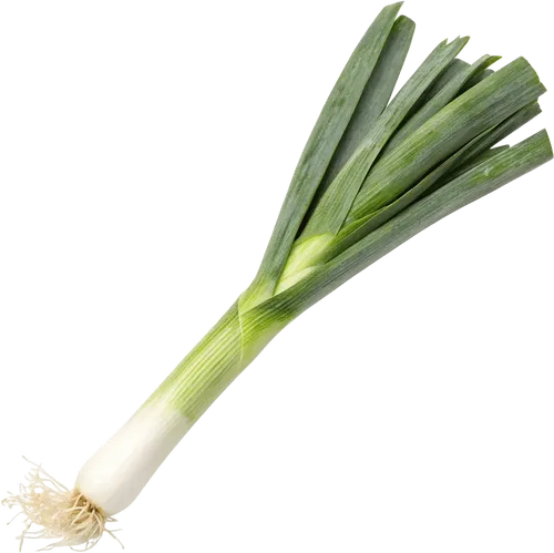 1根大葱